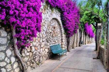 Gocce Villas - Skyline Sorrento Views In The Heart Of Sorrento Exterior foto
