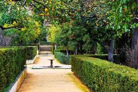 Gocce Villas - Skyline Sorrento Views In The Heart Of Sorrento Exterior foto